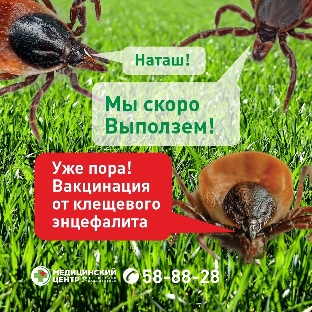 Вакцинация от клещевого энцефалита