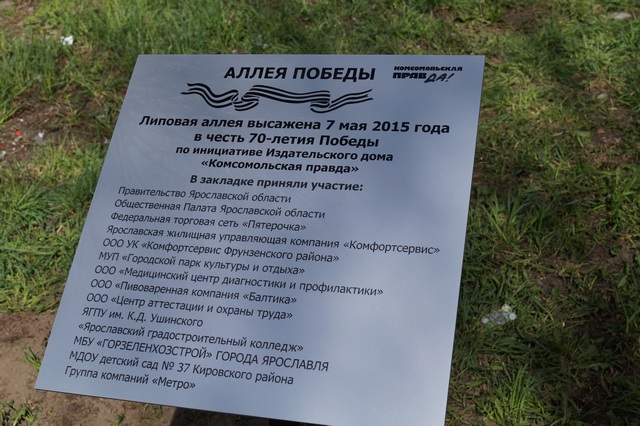 DSC07726-m.jpg